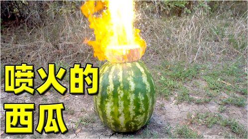 热门大瓜,热门大瓜背后的惊人真相